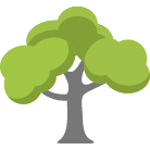 Stuart Tree Trimming Service